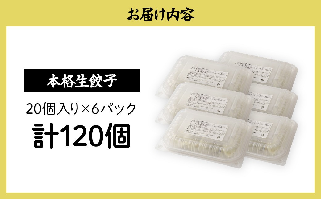 餃子 冷凍餃子 大量 大容量 ギョウザ ギョーザ 冷凍ギョウザ 冷凍 冷凍ぎょうざ ぎょうざ ぎょーざ 食べ比べ 美味しい