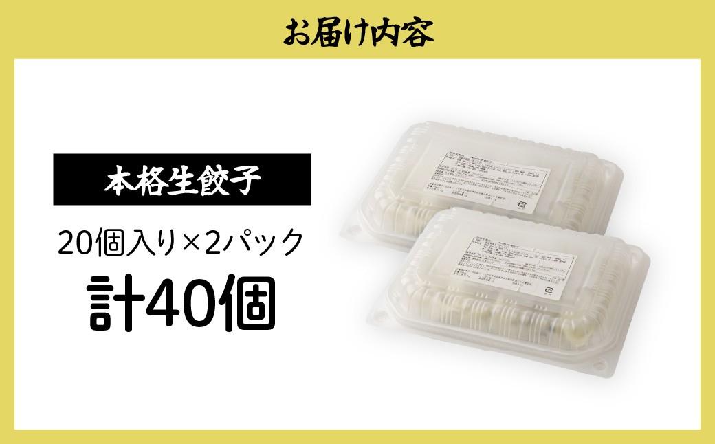 餃子 冷凍餃子 大量 大容量 ギョウザ ギョーザ 冷凍ギョウザ 冷凍 冷凍ぎょうざ ぎょうざ ぎょーざ 食べ比べ 美味しい