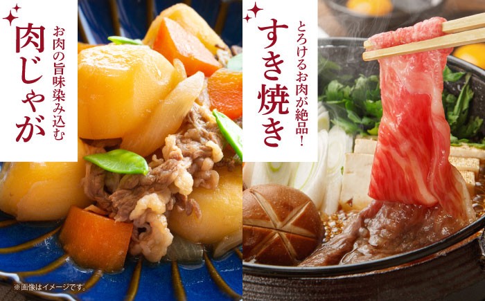 佐賀牛 すき焼き しゃぶしゃぶ 切落とし 切り落し 牛肉 和牛 黒毛和牛 小分け 冷凍 きりおとし 佐賀 佐賀県 