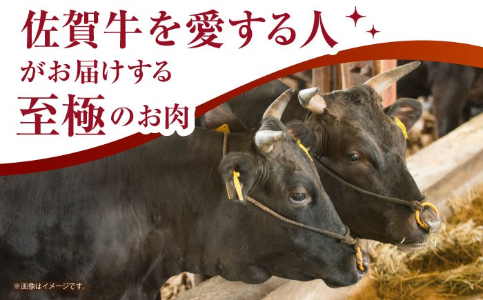 佐賀牛 A5 牛丼 切落とし 切り落し 牛肉 和牛 黒毛和牛 小分け 冷凍 きりおとし 佐賀  6ヶ月 6回 定期
