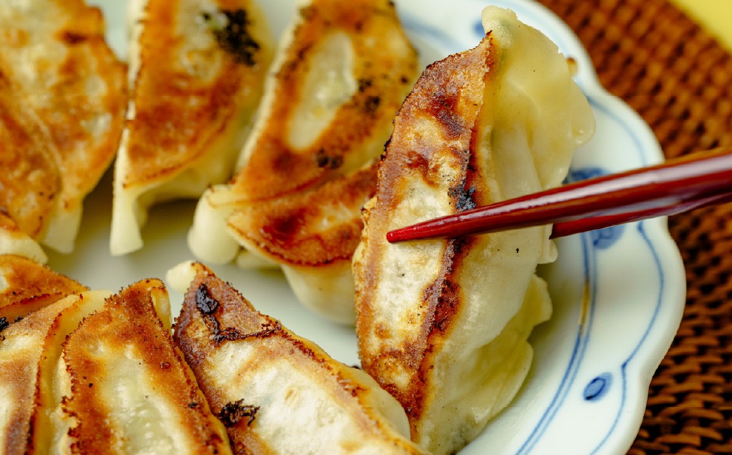 餃子 冷凍餃子 大量 大容量 ギョウザ ギョーザ 冷凍ギョウザ 冷凍 冷凍ぎょうざ ぎょうざ ぎょーざ 食べ比べ 美味しい