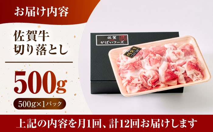 佐賀牛 A5 牛丼 切落とし 切り落し 牛肉 和牛 黒毛和牛 小分け 冷凍 きりおとし 佐賀  12ヶ月 12回 定期