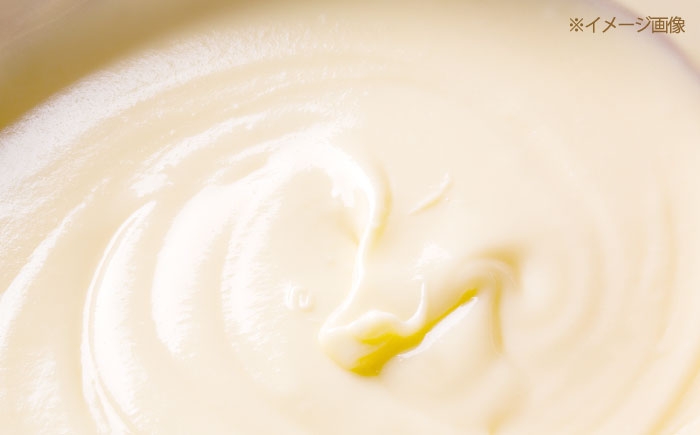 ナッツ フルーツ シュトーレン 2本セット 約1kg 国産素材 焼き菓子 洋菓子 人気スイーツ ギフト クリスマス プレゼント