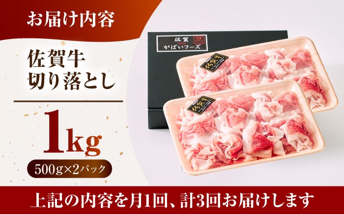 佐賀牛 A5 牛丼 切落とし 切り落し 牛肉 和牛 黒毛和牛 小分け 冷凍 きりおとし 佐賀 赤身 赤み 3ヶ月 3回 定期