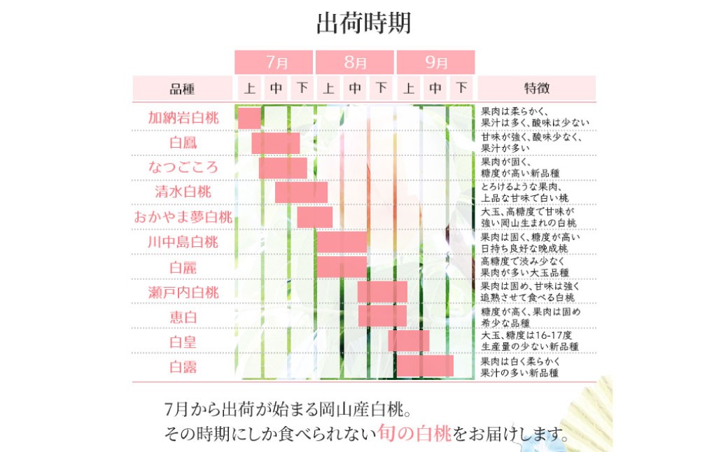 岡山白桃 ロイヤル 5～7玉入り（合計約2kg）