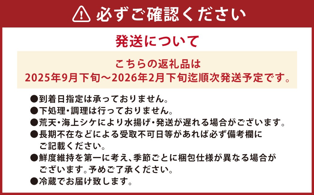 丸ごと1匹お届け!長崎近海 天然アラ (クエ) 5kg台 (5.2〜5.8kg、8〜10人前)