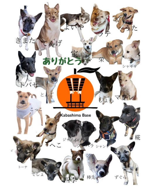 長崎漁港発!長崎近海産鮮魚お試しセット (ミニ)