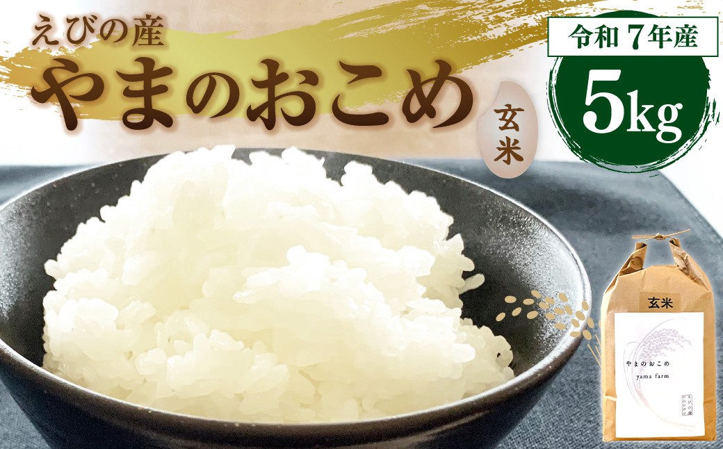 【令和7年産】えびの産 選べる ヒノヒカリ やまのおこめ 玄米 5kg