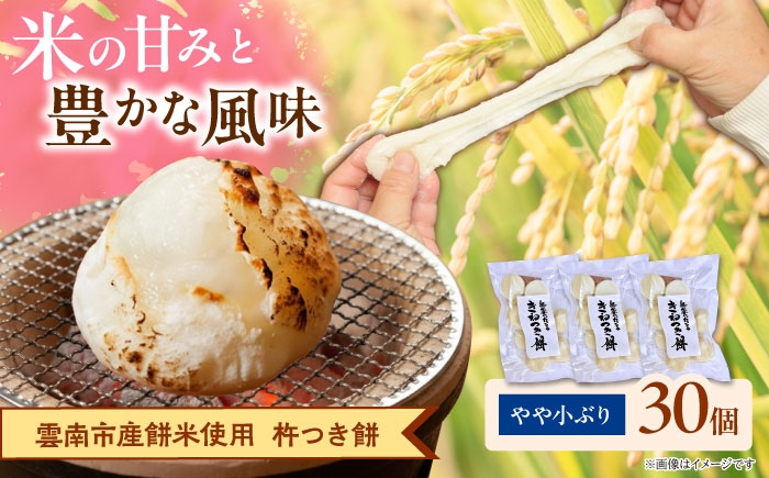 大容量 お餅 お正月 年末年始 焼き餅 ぜんざい お雑煮 島根県産 もち米 国産