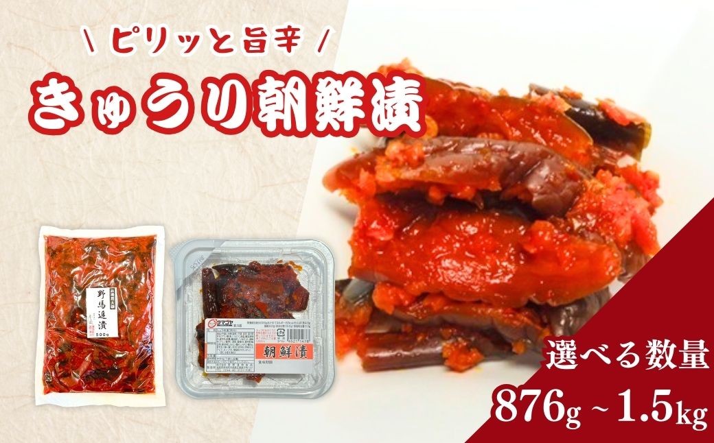 生カップきゅうり朝鮮漬 タマゴヤの朝鮮漬 876g(73g×6パック×2箱) | キムチ きゅうり 漬物  詰め合わせ ギフト