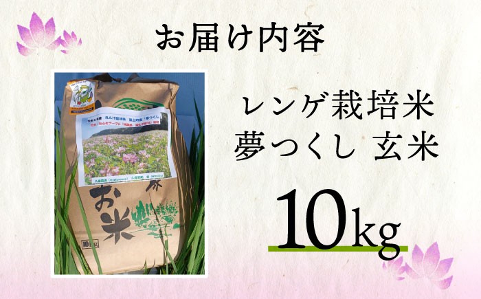 米 お米 こめ コメ ご飯 玄米 夢つくし 10kg 国産 ギフト 贈り物 レンゲ栽培 県産米 減農薬 エコ 農産物 久楽農園