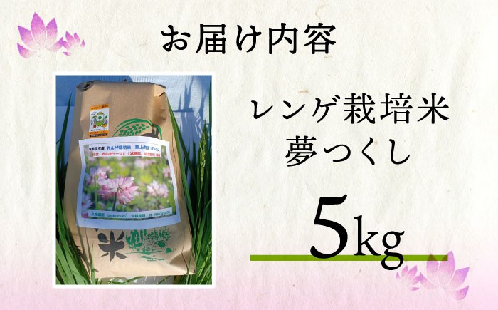 米 お米 こめ コメ ご飯 白米 夢つくし 4.5kg 国産 ギフト 贈り物 レンゲ栽培 県産米 減農薬 エコ 農産物 久楽農園