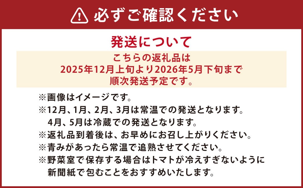 麗妃トマト（栽培自慢） 約4kg