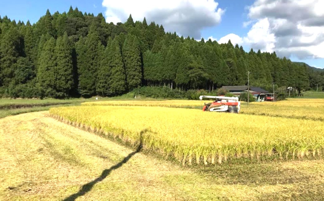 【令和7年産】えびの産 選べる ヒノヒカリ やまのおこめ 白米 5kg