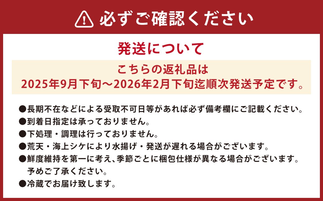 丸ごと1匹お届け!長崎近海 天然アラ (クエ) 2kg台 (2.2~2.8kg、4~5人前)