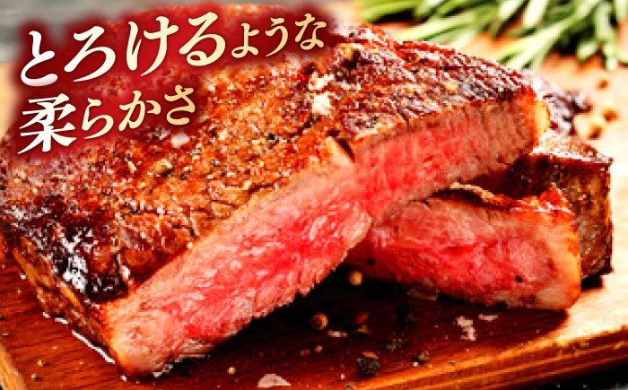 サーロインステーキ 牛肉 ステーキ 6回定期便 奥出雲和牛 ブランド牛 冷凍