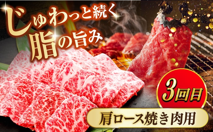 和牛 定期便 セット 詰め合わせ 奥出雲和牛