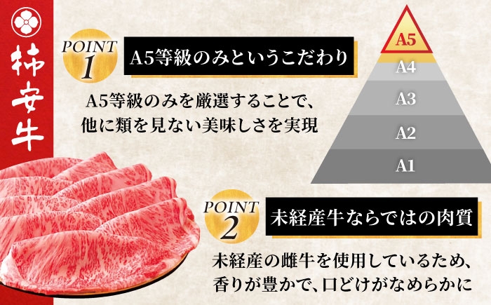 A5 牛肉 切り落とし 500g 国産 牛肉 すき焼き