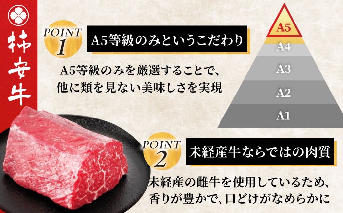 牛肉 a5 ローストビーフ 用 400g モモブロック モモ