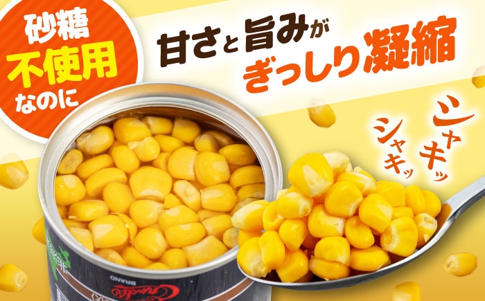 自然甘ホールコーン 12缶 コーン コーン缶 とうもろこし トウモロコシ 北海道 常温 常温配送
