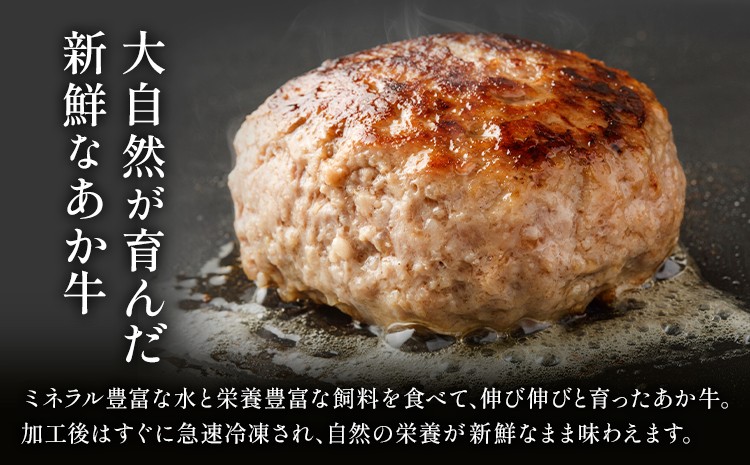 阿蘇あか牛 ハンバーグ 100g×7個
