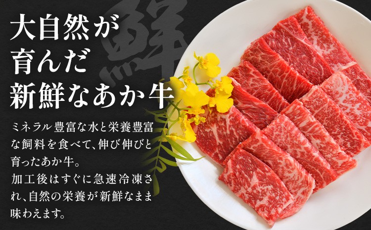阿蘇あか牛 モモ 約500g