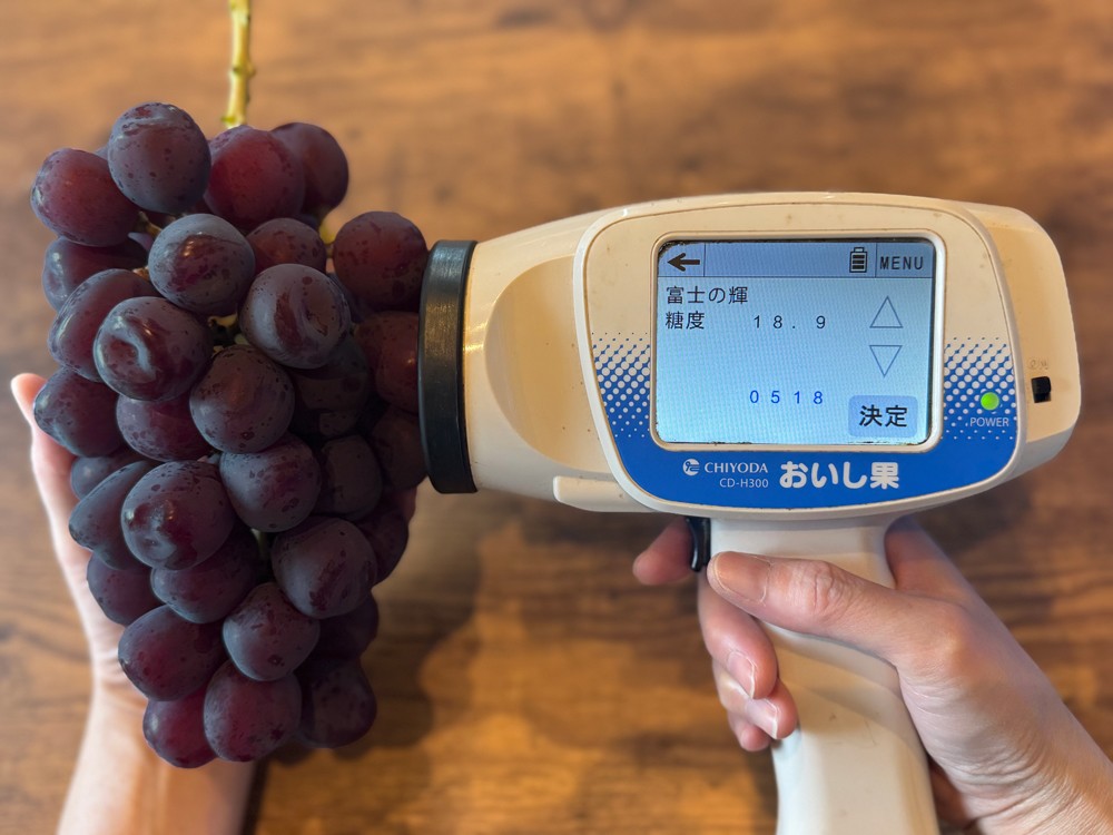 ルッチは美味しいフルーツを確実にお客様に届けることに全力を尽くしています！