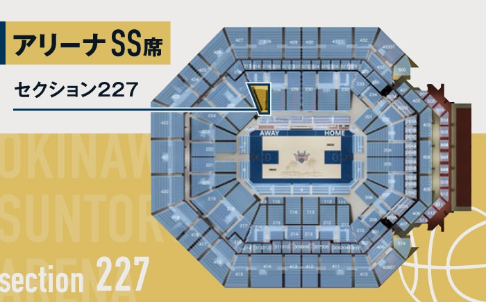 バスケ バスケットボール スポーツ 体験型 試合観戦 チケット 家族連れ 旅行 沖縄 キングス 人気 限定