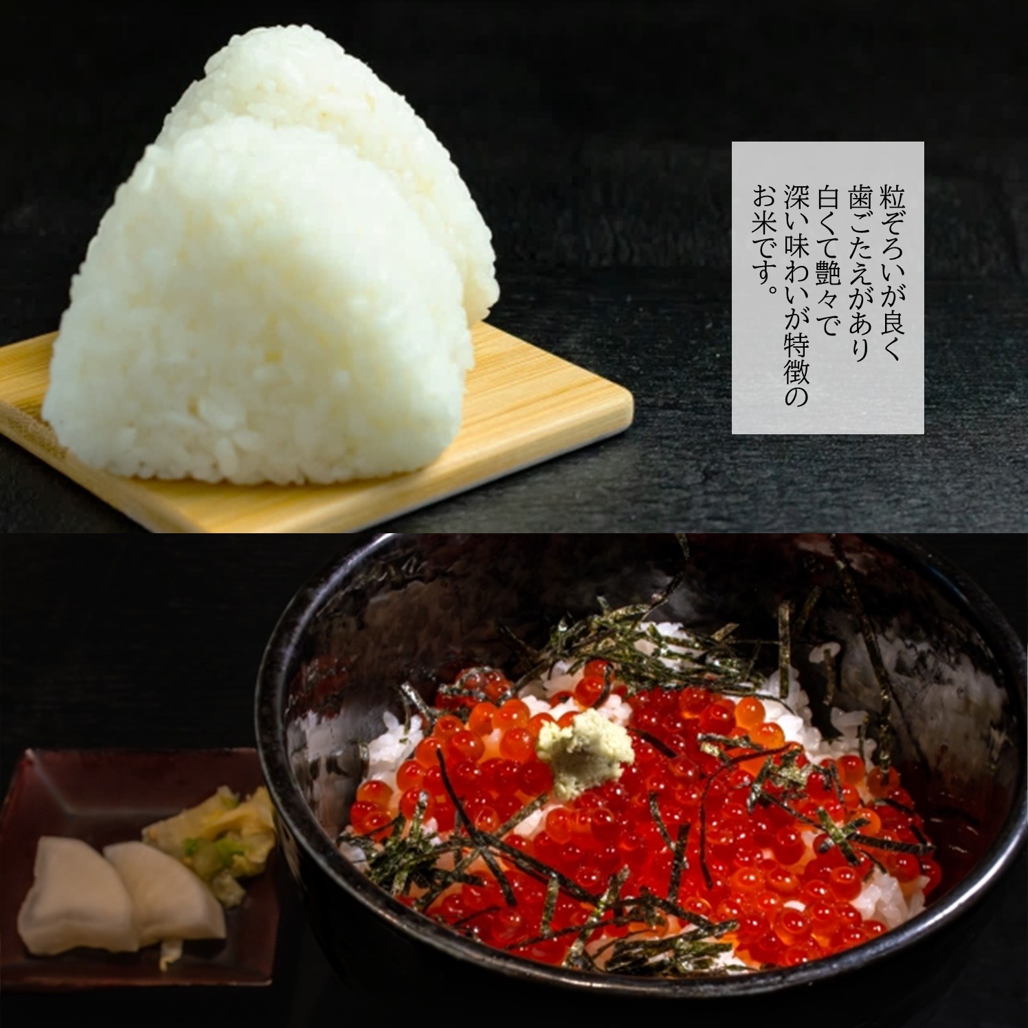 【令和7年産】無洗米 長崎 つや姫 900g