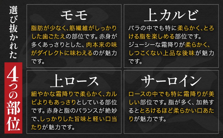 阿蘇あか牛 食べ比べセット（モモ・上カルビ・上ロース・サーロイン） 約800g