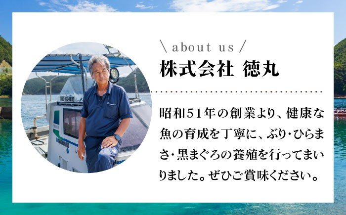 ブリ フィレ 一本まるごとセット（4.5kg程度1尾分）/ ぶり 鰤 刺身 鮮魚 海鮮 海産物  上五島