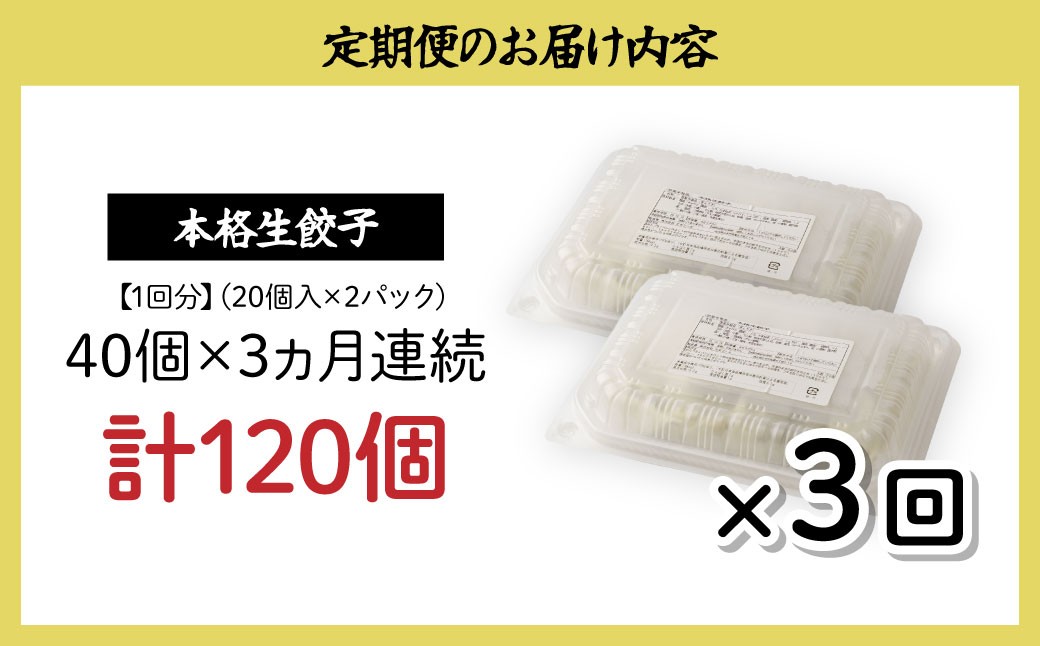 餃子 冷凍餃子 大量 大容量 ギョウザ ギョーザ 冷凍ギョウザ 冷凍 冷凍ぎょうざ ぎょうざ ぎょーざ 食べ比べ 美味しい