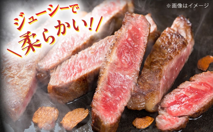 ステーキ すてーき サーロイン さーろいん サーロインステーキ 肉 牛肉 肉 ブランド牛 和牛 国産 国産和牛 BBQ 