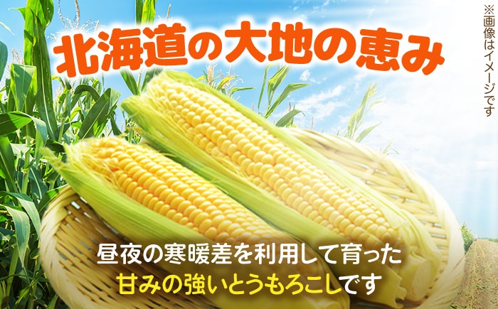 自然甘ホールコーン 12缶 コーン コーン缶 とうもろこし トウモロコシ 北海道 常温 常温配送