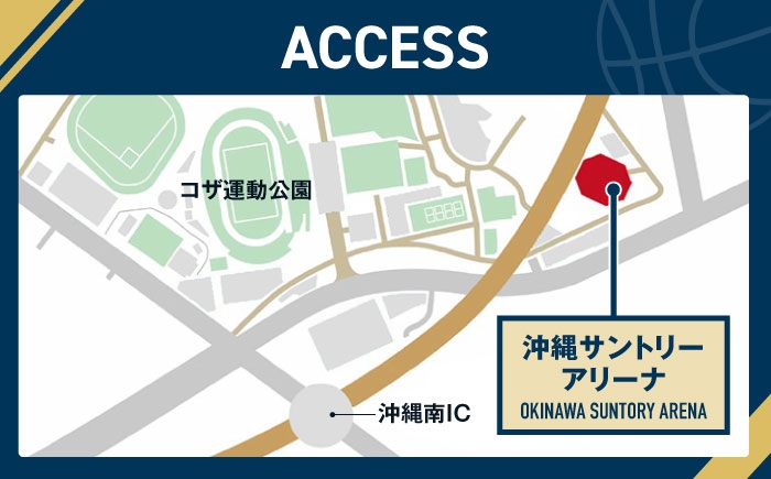 バスケ バスケットボール スポーツ 体験型 試合観戦 チケット 家族連れ 旅行 沖縄 キングス 人気 限定