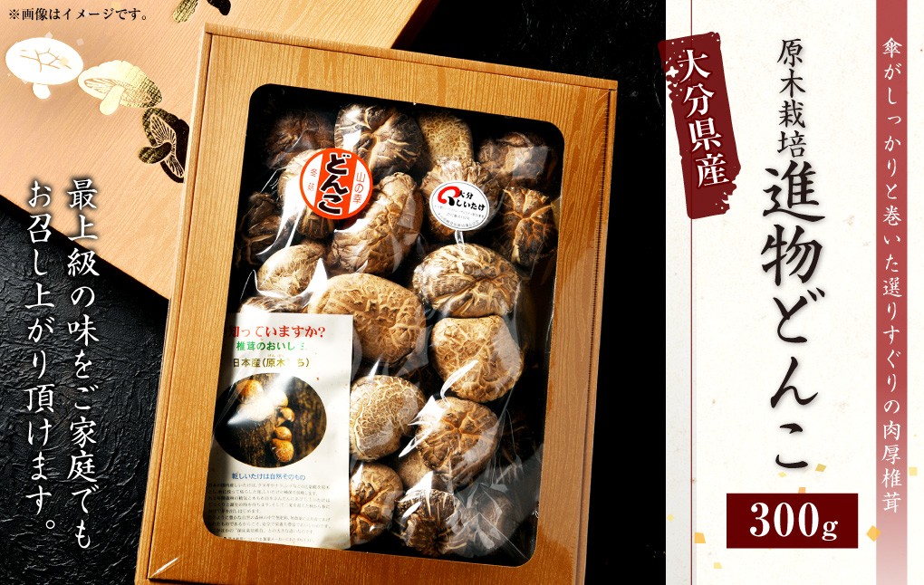 015-697x1 進物どんこ 300g 乾燥 椎茸 きのこ 茸