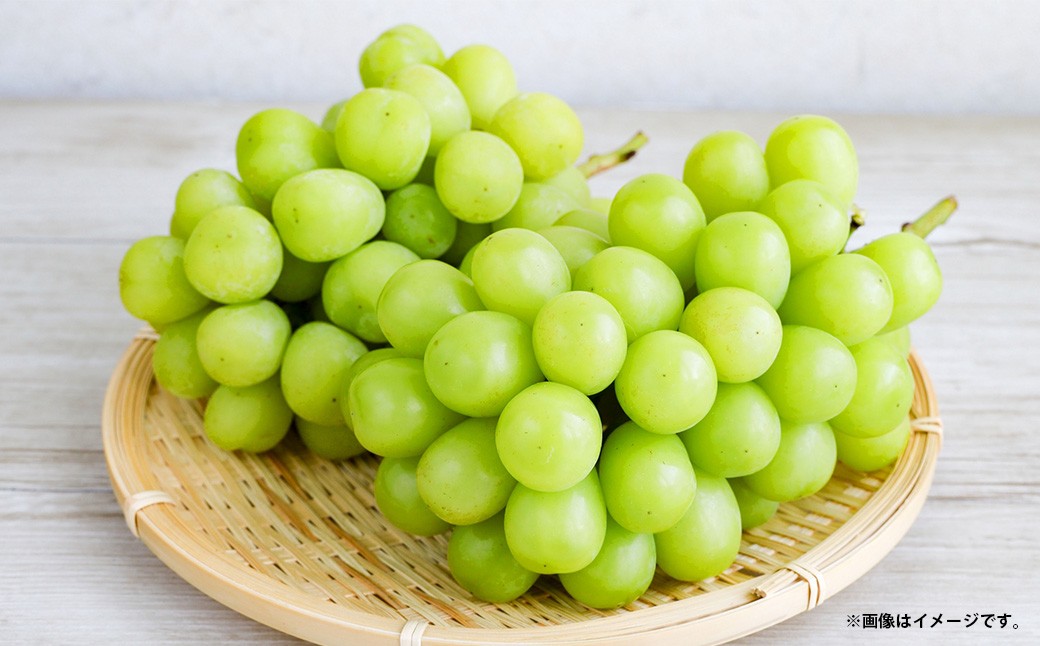 シャインマスカット 約1.3kg以上（2房）