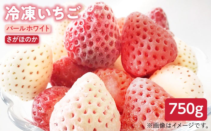 「甘味」「酸味」「風味」四つ星級