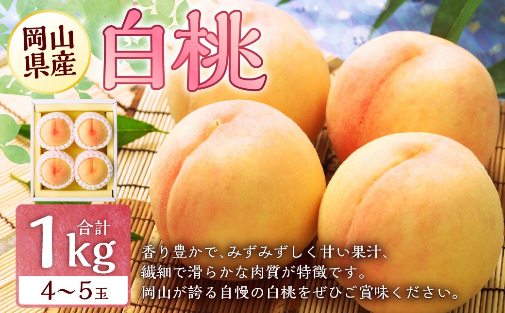 岡山 白桃 4～5玉 （合計1.0kg以上）