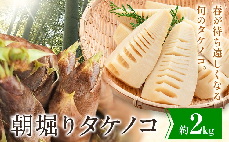 朝掘り タケノコ 2kg