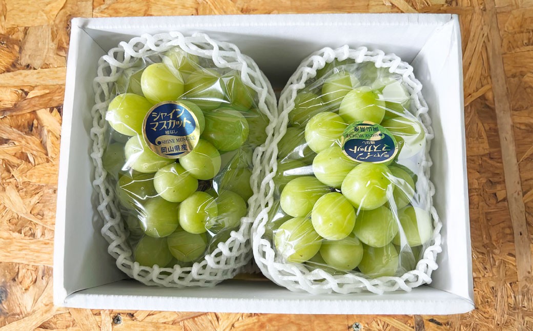 【2026年9月上旬～9月下旬発送予定】ぶどう 2026年 先行予約 シャイン マスカット 1房 700g以上 ブドウ 葡萄
