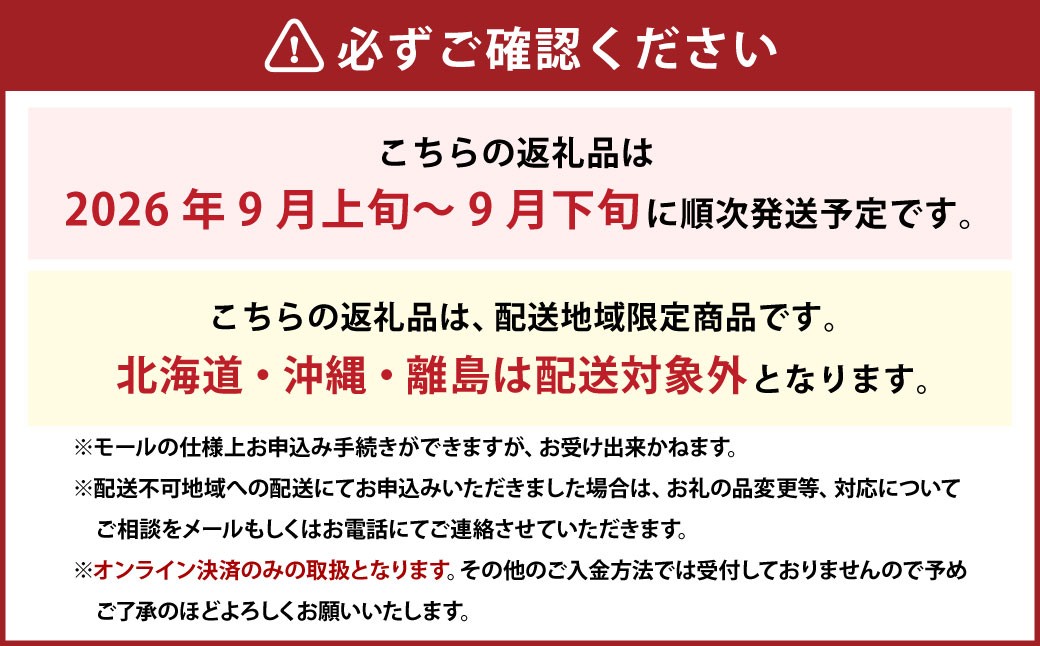 【2026年9月上旬～9月下旬発送予定】ぶどう 2026年 先行予約 シャイン マスカット 3～4房 合計2kg以上 ブドウ