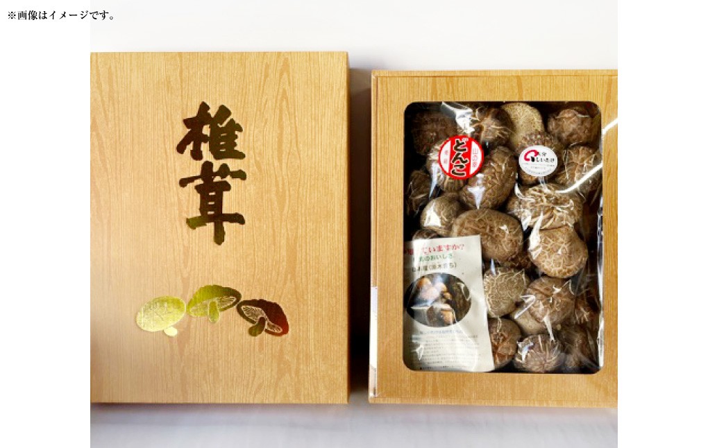 015-697x1 進物どんこ 300g 乾燥 椎茸 きのこ 茸