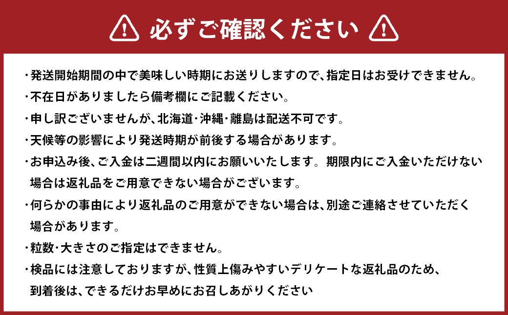 シャインマスカット 約1.3kg以上（2房）