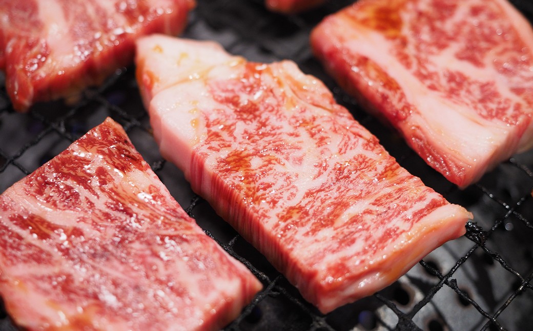 【訳あり】【A4～A5】 長崎和牛 焼肉用 約500g