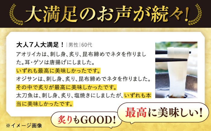 高級 鮮魚 セット 詰め合わせ 冷蔵 おまかせ お楽しみ 旬 刺身 九州 長崎