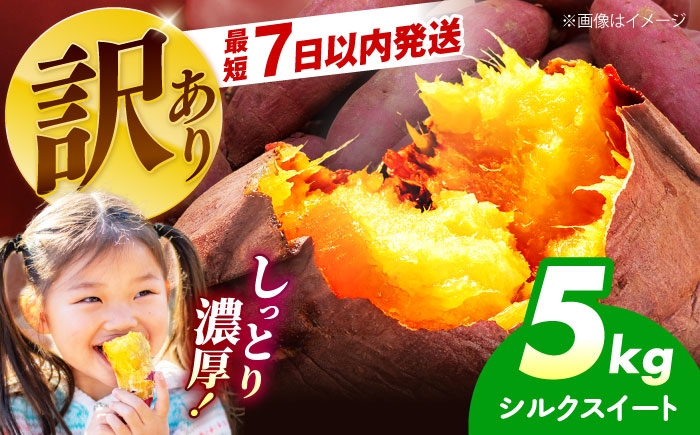 訳ありさつまいも シルクスイート 5kg 野菜セット 家庭用 産地直送 お取り寄せ スイートポテト 焼き芋用 簡単調理 栄養満点