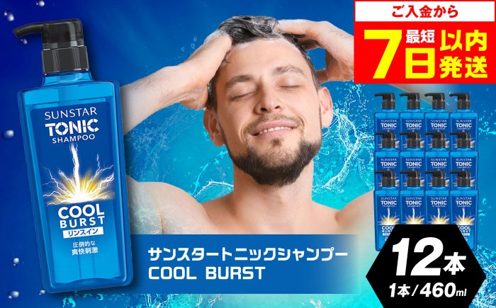 シャンプー リンス トリートメント リンスイン リンスインシャンプー メンズ 男性 男性用 メントール サンスター 日用品