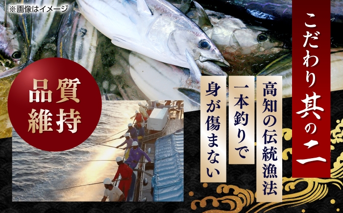 一本釣り龍馬鰹たたき　約1.2kg ポン酢付き /高知 本格 藁焼き カツオ 鰹 かつおたたき 瞬間冷凍 厳選 【株式会社　七和