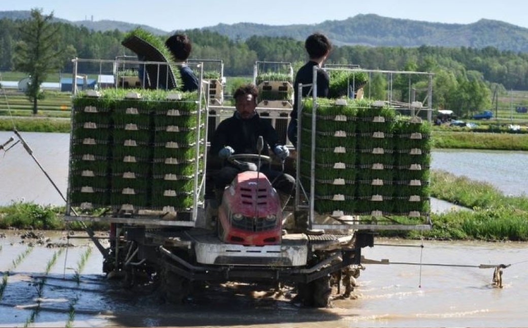 ゆめぴりか （精白米） 5kg